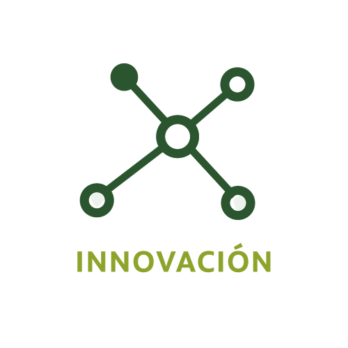 innovacion